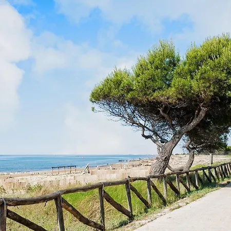 House With Pools And Outdoor Space *