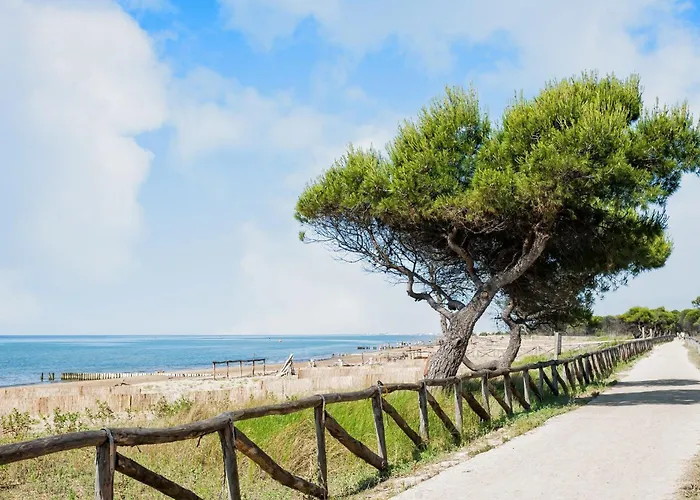 House With Pools And Outdoor Space *